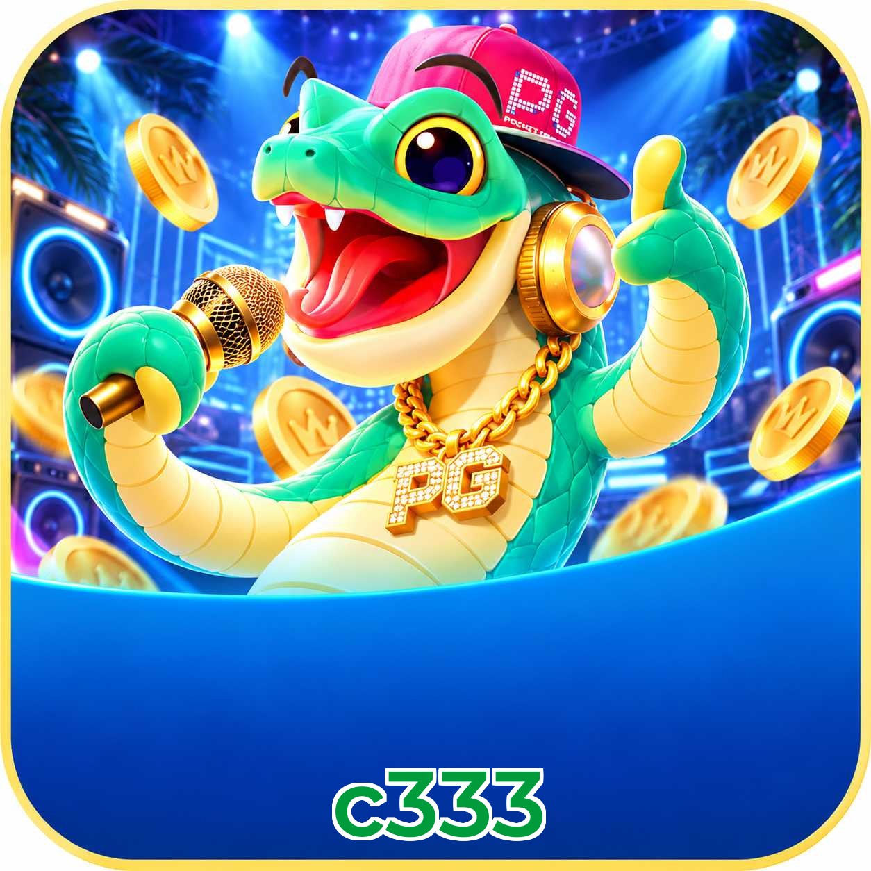 c333 Security