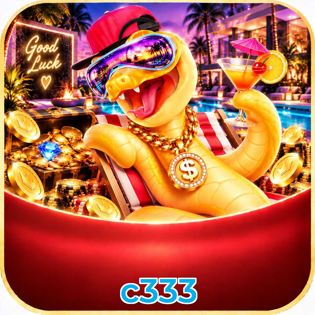 c333 Installation Guide